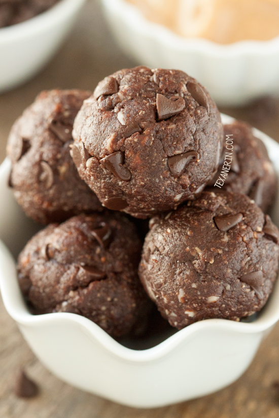 Chocolate Peanut Butter Protein Balls (grain-free, vegan) - Texanerin ...
