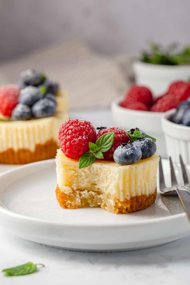 fantastic Cheesecakes (super Mini Gluten-free crust!) - Texanerin Baking creamy,