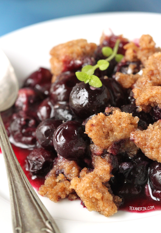 Healthier Vegan Blueberry Crisp - Texanerin Baking