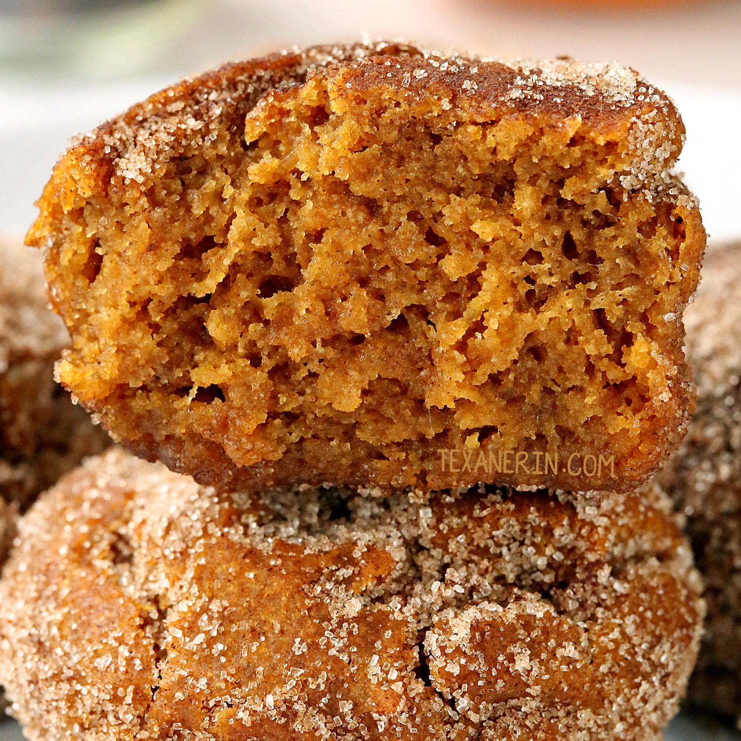 Vegan Pumpkin Muffin