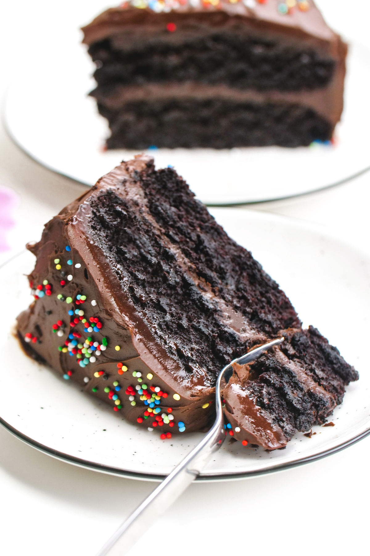 Vegan Chocolate Cake - Super Fudgy! (gluten-free options) - Texanerin Baking