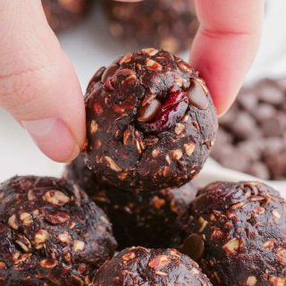 Bliss Balls Recipe (gluten-free, vegan options)