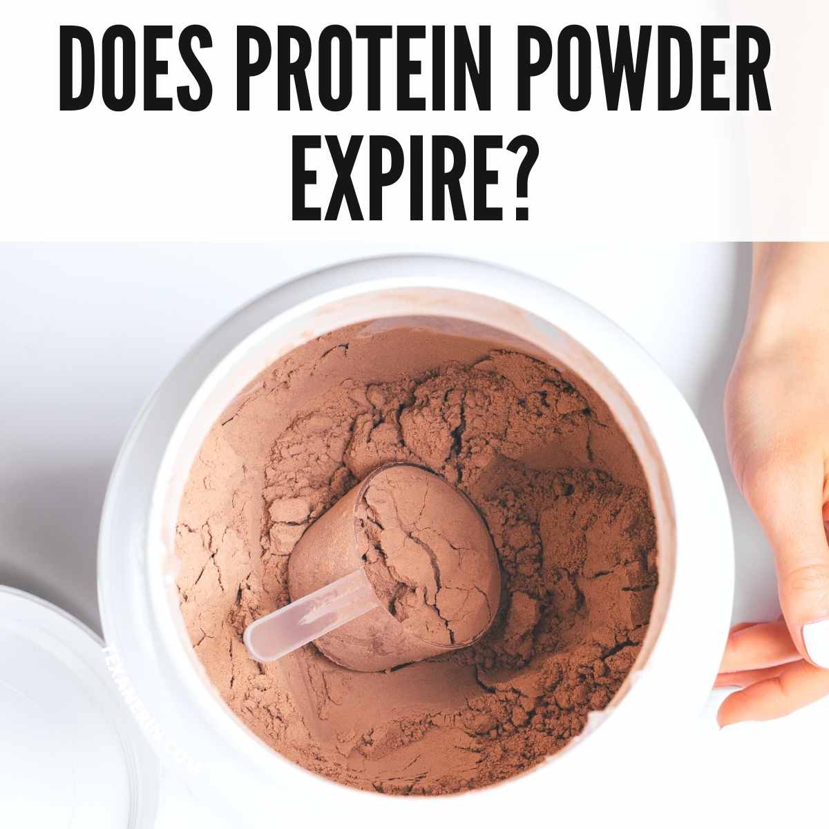 Does Protein Powder Expire And How To Tell If It s Gone Bad 