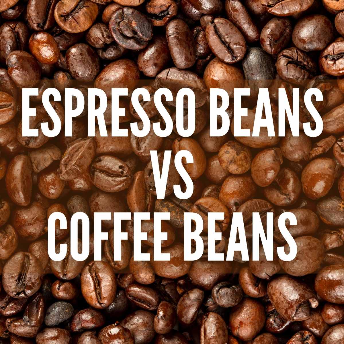 https://www.texanerin.com/content/uploads/2022/06/espresso-beans-vs-coffee-beans-photo-pin.jpg
