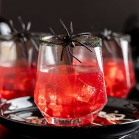 photo of three bright red witches brew cocktails in glasses rimmed with black sugar and spiders decorating the rim against a stark black background