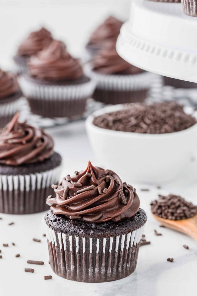 Chocolate cupcake with frosting and sprinkles on top